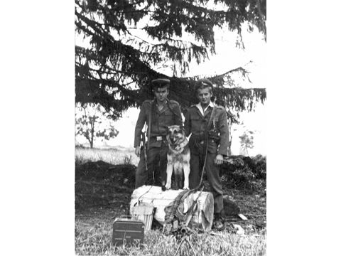 Foto 13